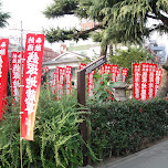 shrine in asakusa in Asakusa, Japan 