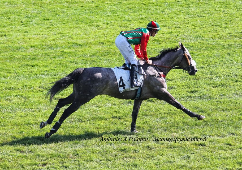 Photos Auteuil le 27-09-2014 IMG_4387