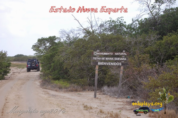 Playa Boca de Palo NE120, Estado Nueva Esparta, Tubores