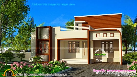 Small budget modern house