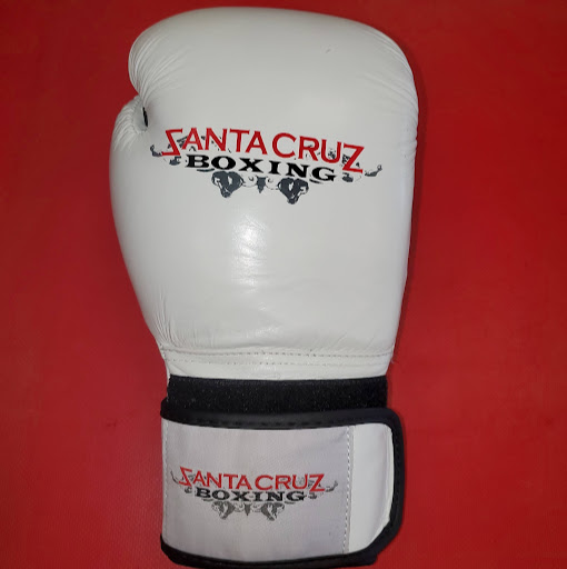 Santa Cruz Boxing logo