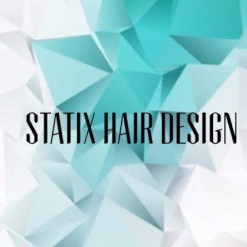 Statix Hair Design logo