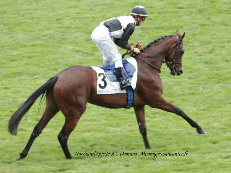 Photos Maisons-Laffitte 5-07-2015 IMG_2334