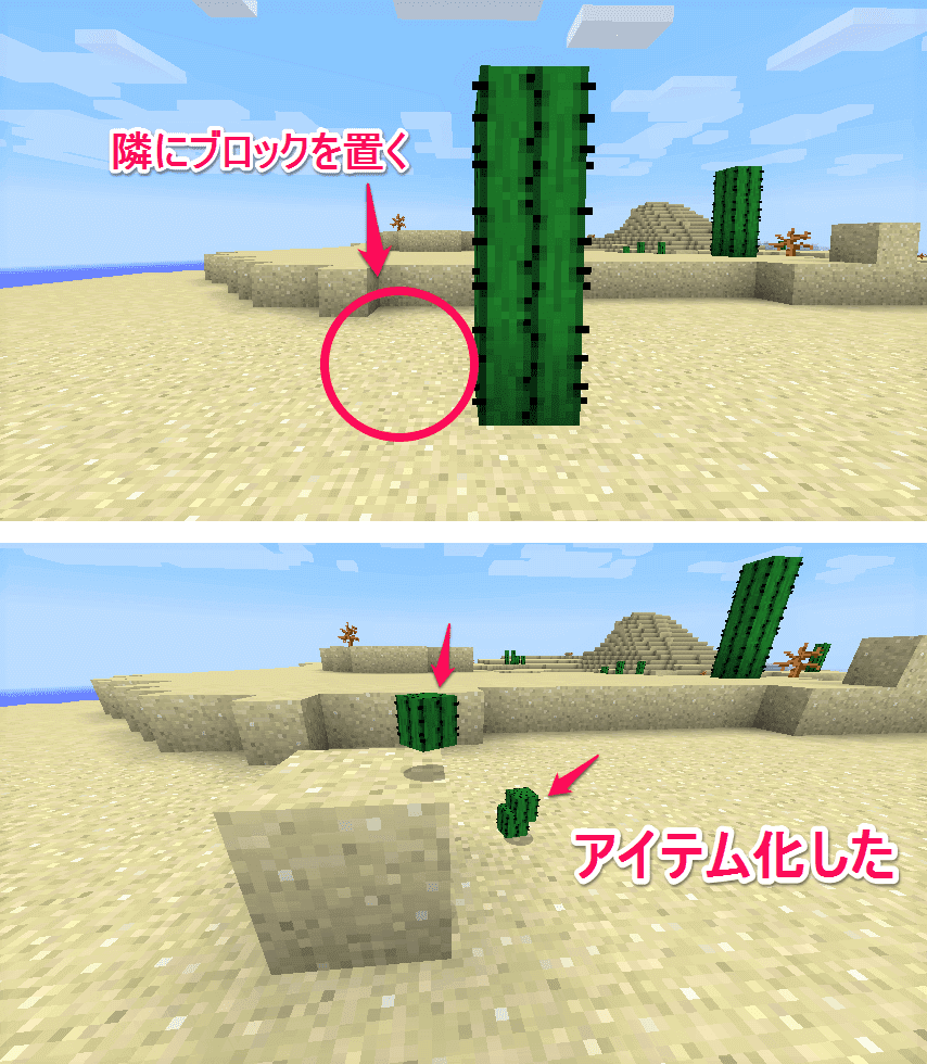 サボテンの基本的な植え方と素早い回収方法 マイクラ Craft Life