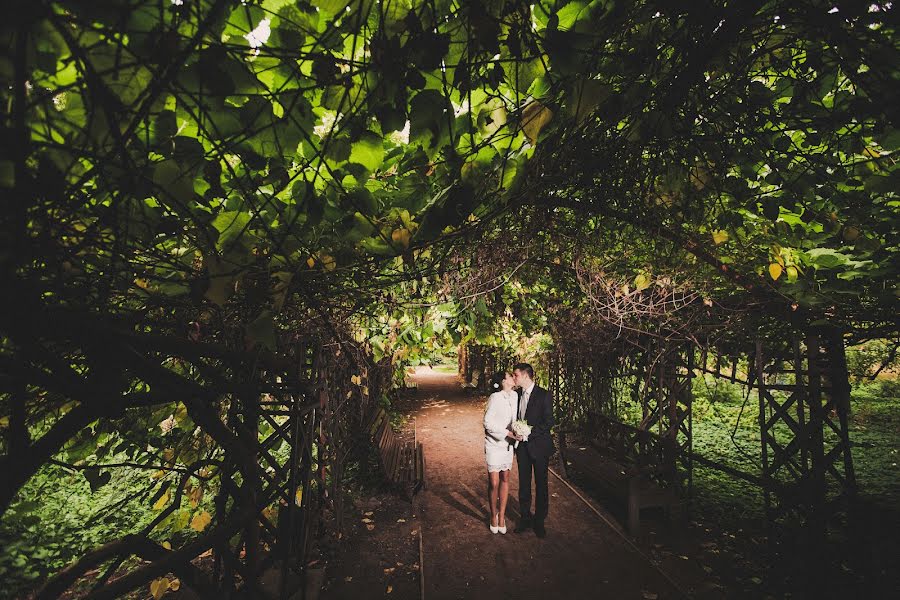 Fotógrafo de casamento Alla Tand (alterna). Foto de 14 de abril 2016