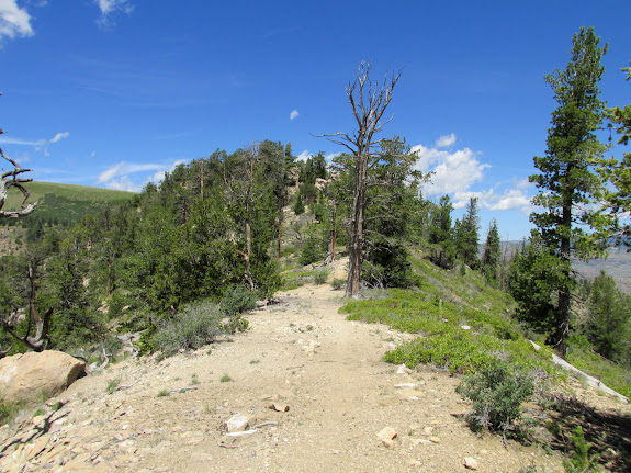 On the ridge, approaching peak 8,510'