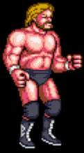 파일:external/shinchoujin.50webs.com/Wrestlefest_03_MillionDollarMan.gif