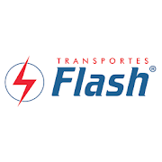 FLASH CORPORATE 31.11.10.156 Icon