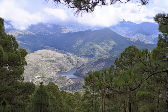 GRAN CANARIA MAR Y MONTE - Blogs de España - ARTENARA Y PARQUE NATURAL DE TAMADABA (16)