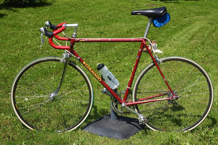 colnago%252520002.jpg