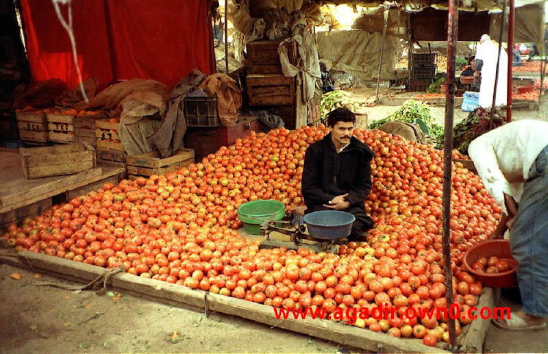 الاحد السوق البلدي باكادير  1%2520%252861%2529