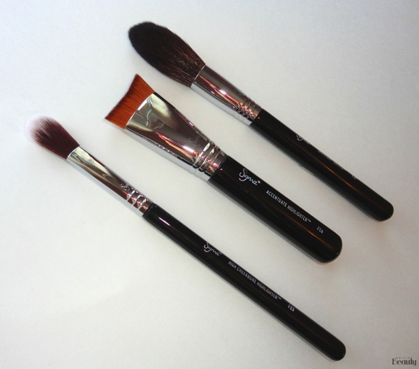 Sigma Beauty Highlight Expert Brush Set Review 4