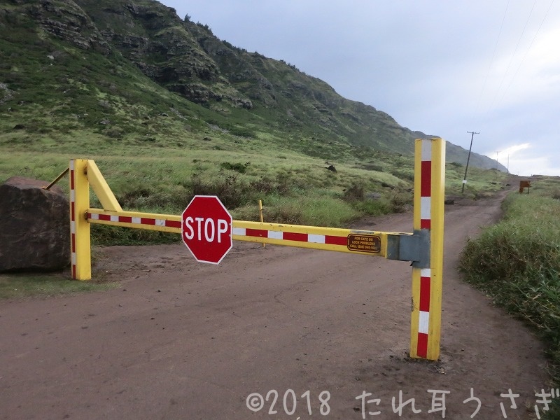 ハワイ旅行㉝ オアフ島一周ドライブをレンタカーで 行き止まりで行けない カエナポイントに行ってきた