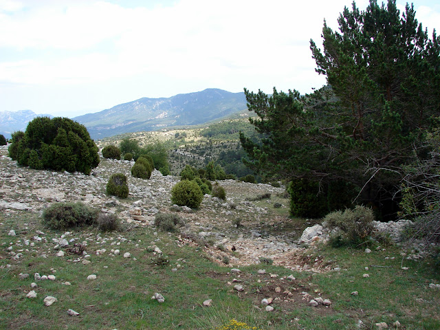 Senderismo - Vallibona - Turmell - Santa Àgueda