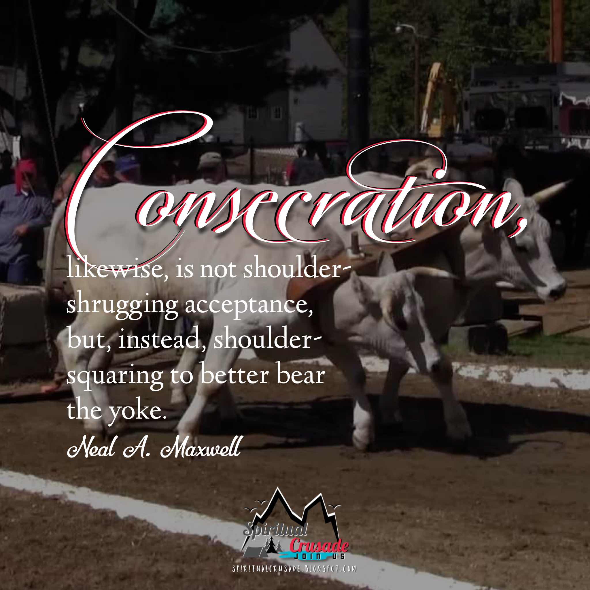 Consecration – shoulder squaring to better bear the yoke