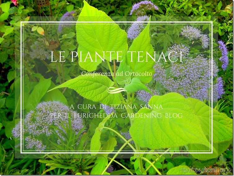 Le piante tenaci 1