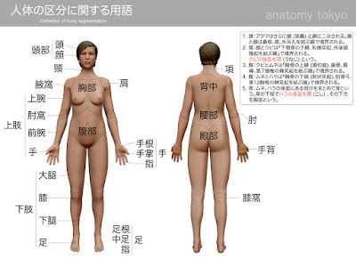 [最新] 体の部位 名前 介護 195556-体の部位 名前 介護