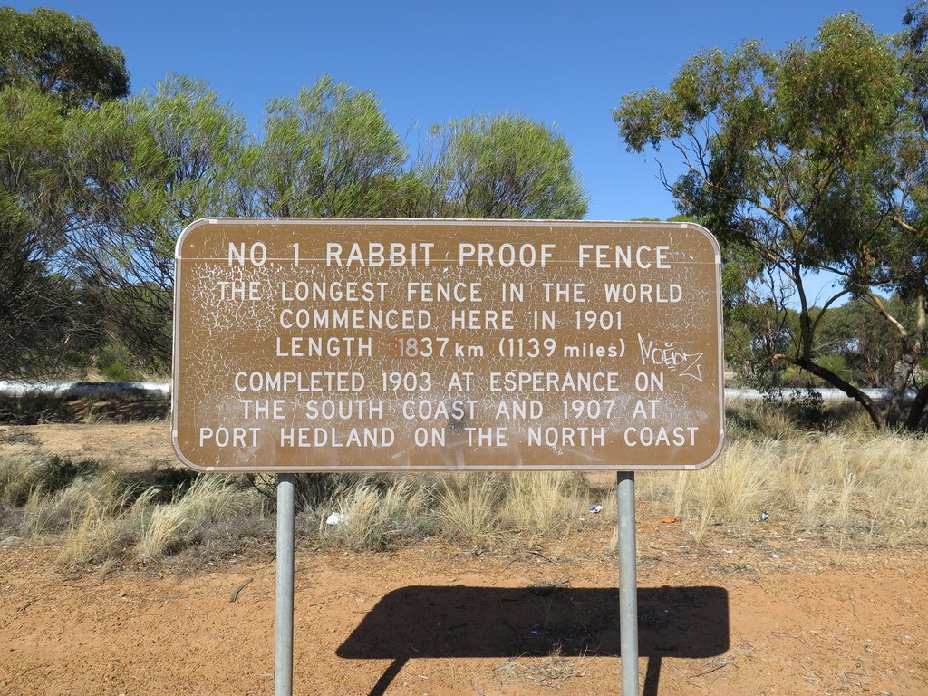 [170502-012-Rabbit-Proof-Fence3]