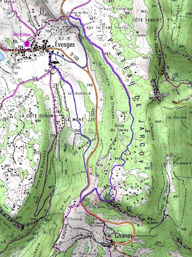 Le plateau de Jargoy Plateau_de_Jargoy_15