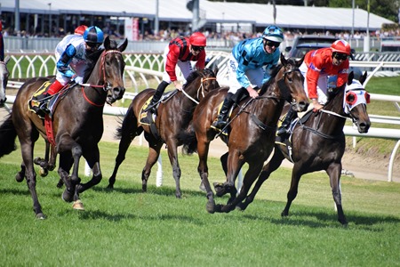 thousand guineas_finish 1 thousand guineas_finish 1