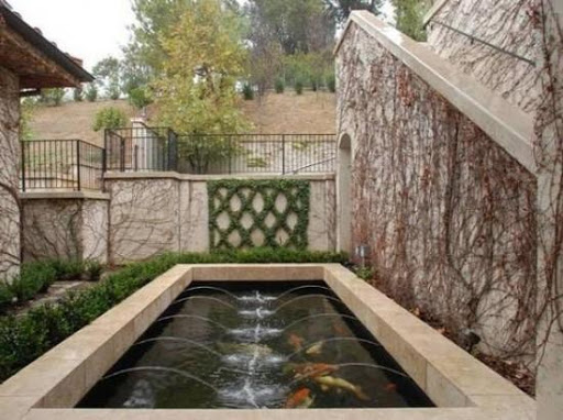 Fish Pond Ideas