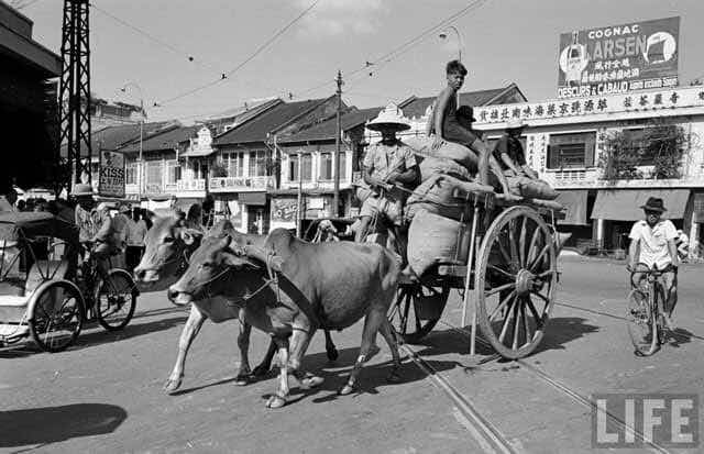 Hội Tam Hoàng cũng có thời hoạt động ở Việt Nam