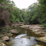 Looking up Middle Harbour Creek from stepping stones (121828)