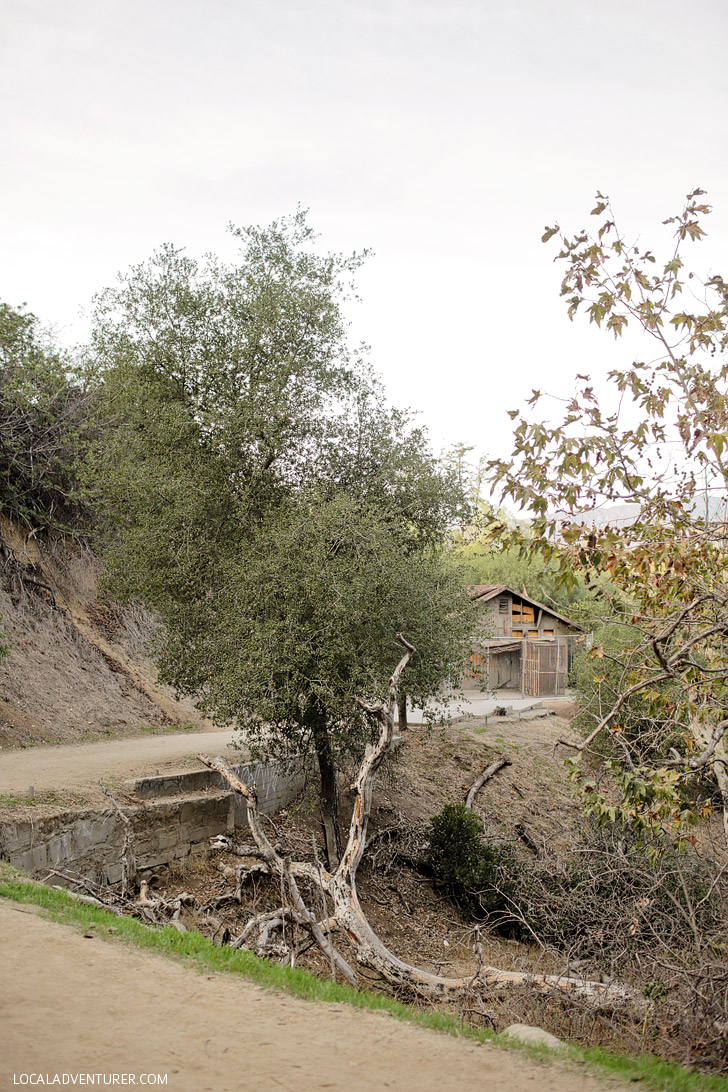 Old LA Zoo: Hidden Gems in Los Angeles.