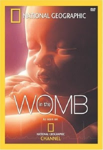 In-the-Womb-by-National-Geographic