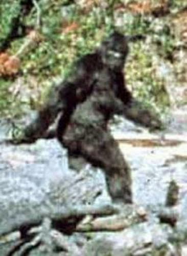 The Origin Of Bigfoot Offspring Of Apes And Indians
