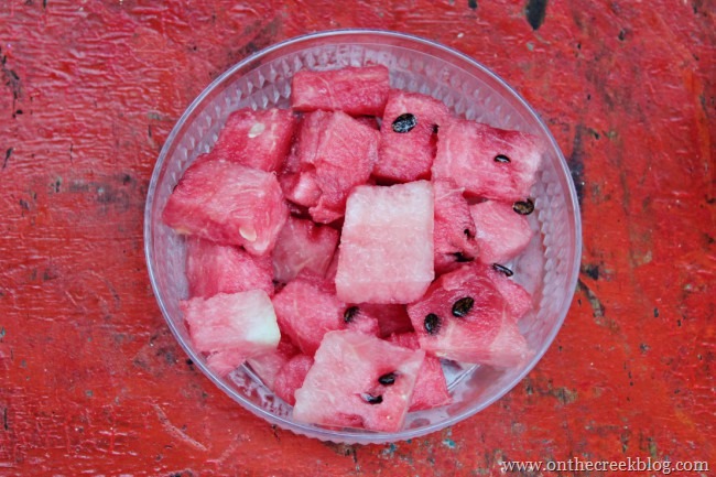 watermelon