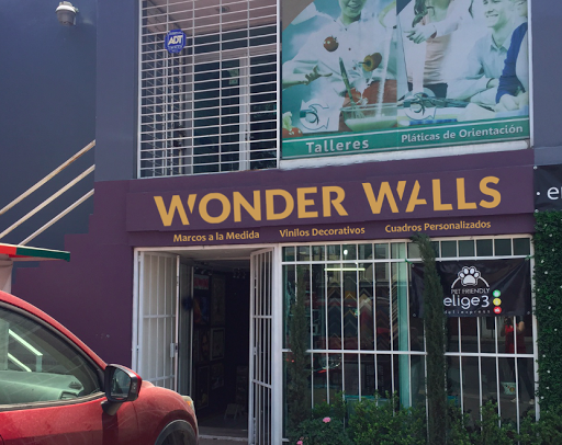 Wonder Walls, 55 Poniente, #723, Prados Agua Azul, 72430 Puebla, Pue., México, Tienda de regalos | PUE