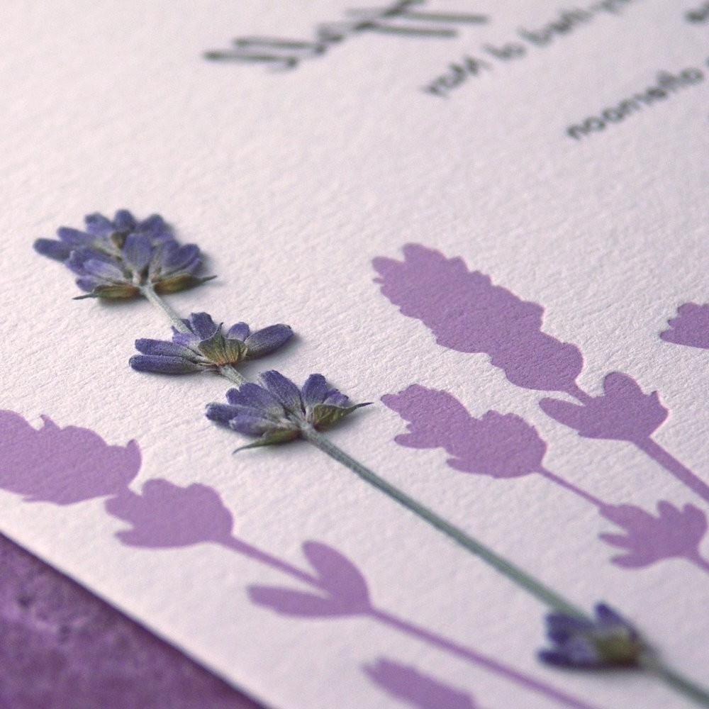 Lavender Field - pressed