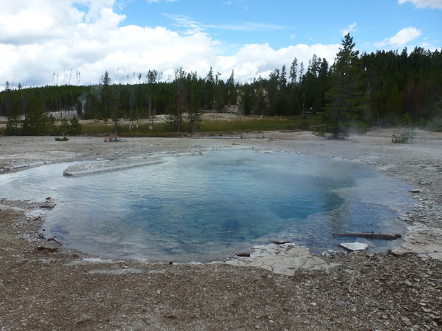 PN Yellowstone. Madison. Valle río Gibbon. Norris Geyser Basin. 12 Julio - LAS ROCOSAS DE CANADA. YELLOWSTONE Y GRAND TETON. (27)