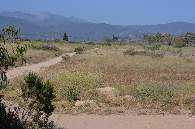 paths on the bluffs