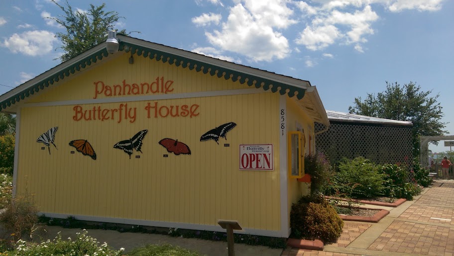 Panhandle Butterfly House