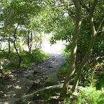 Path leading through the back of Strickland House (36343)