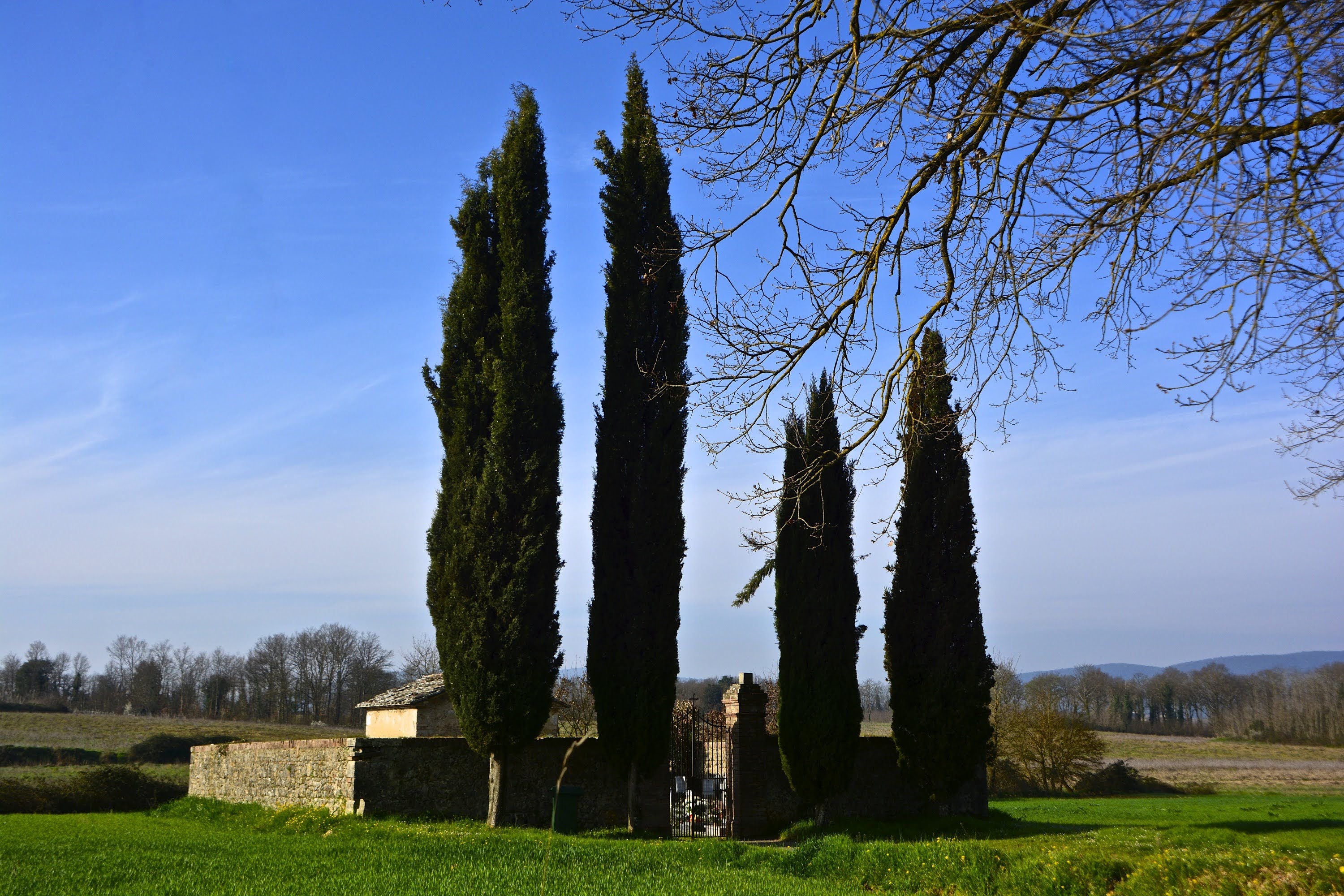 Piccolo cimitero di campagna vicino a Sovicille, Siena