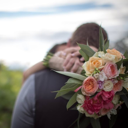 Wild Stems Florist- Gisborne- New Zealand- fresh flowers logo