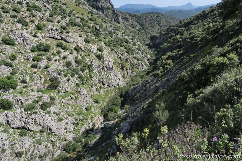 Tajo del Abanico - Encinas Borrachas - rio Audalazar - Alpandeire