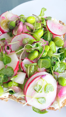 My recipe for a summer sandwich of fun textures, a Radish, Edamame, Ricotta and Greens Sandwich