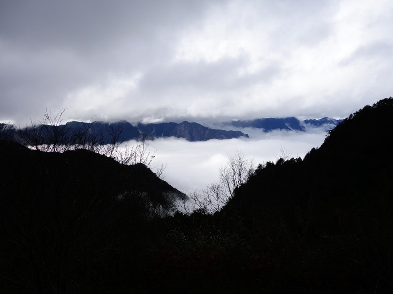 2013_1218-1220 鹿林山-2_015