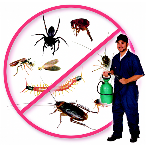 Best Termite Pest Control Services Sehore, Prakash Watch Center, Gandhi Road, Sehore, Madhya Pradesh 466001, India, Pesticide_Store, state MP