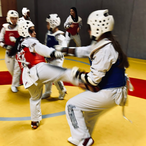 Taekwondo Villeurbanne Academie logo