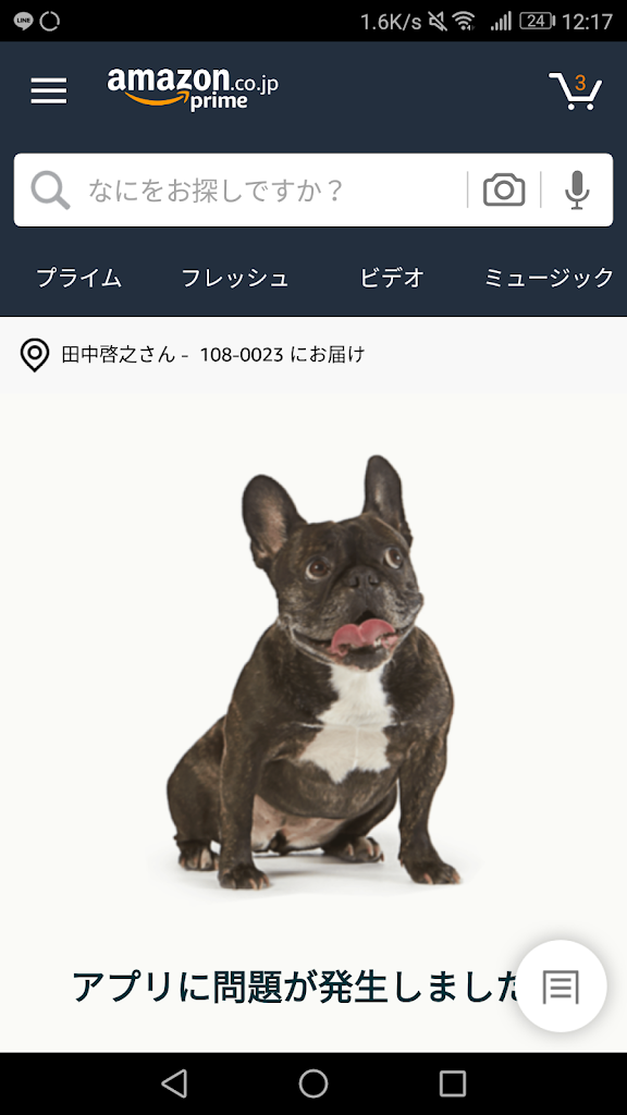 プライムデー Amazon落ちた 犬がでるほど大盛況 猫の手は余ってた 50kgダイエットした港区芝浦it社長ブログ