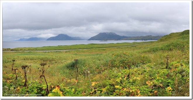 150907_Adak_KulukBay_pano1_WM