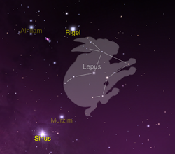 lepus stars