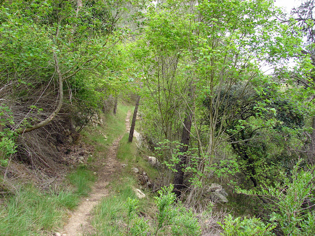 Montanejos - Estechos - Pantano - Morrón - Castillejos