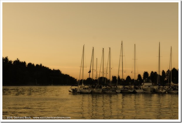 150704_Tacoma QuartermasterHarbor_0059