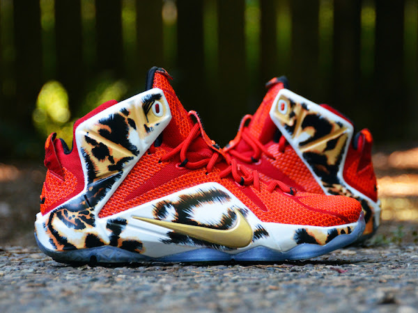 customized lebrons